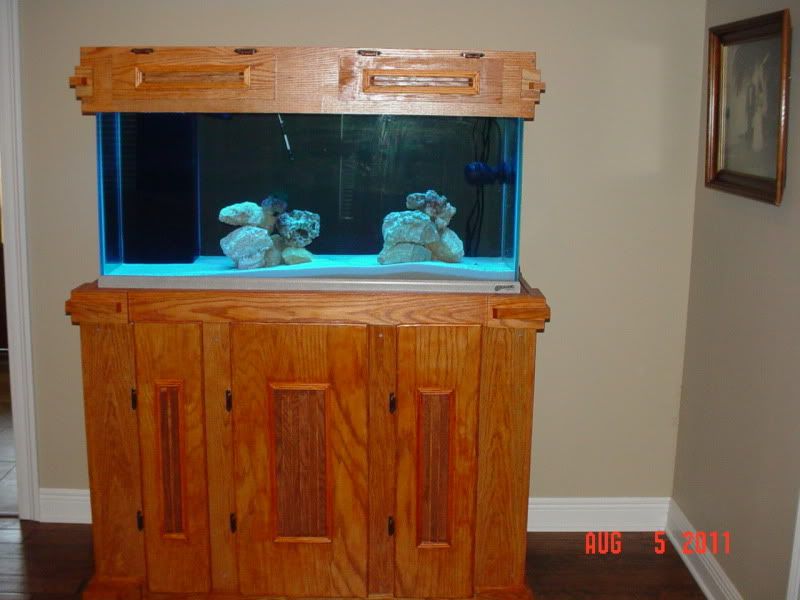 75 gallon tank stand & canopy build The Reef Tank